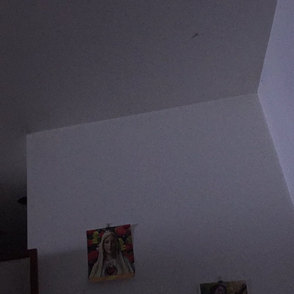 Meet your Posher, Janeth